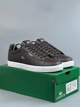Lacoste Lerond Set Marron